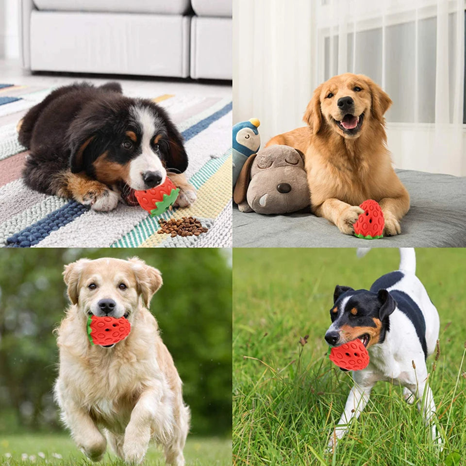 DualPet Dog Chew Toys Rubber Strawberry Shaped Food Leaking Toy Durable Eco-friendly Food Dispenser Dogs Toy