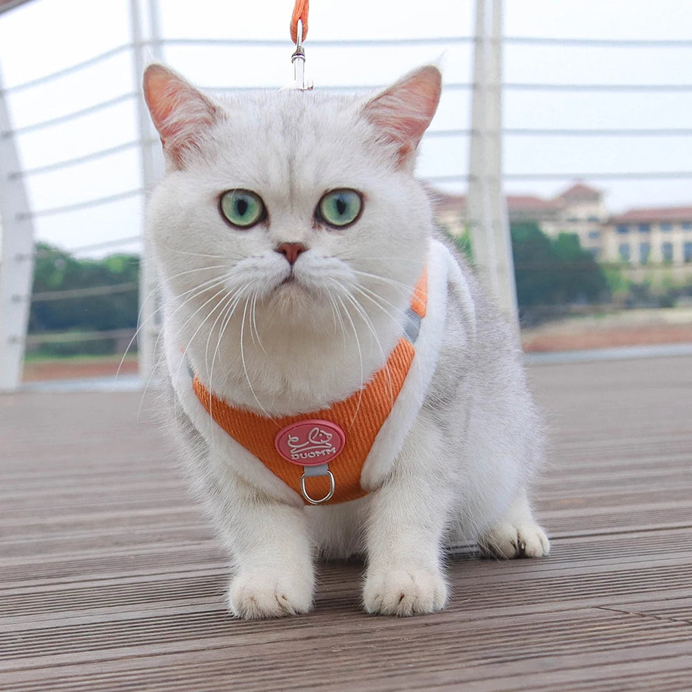 Rabbit Fur Cat Dog Harness and Leash Set Winter Pet Outdoor Walking Supplies Reflective Adjustable Kitten Puppy gatos Harnesses