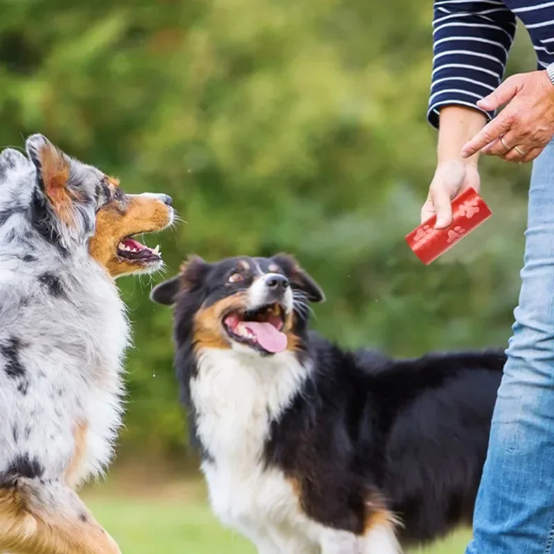 6/8/16Rolls Pet Dog Poop Bags Biodegradable Bulk Biobase Scented Poo Bag Degradable Cat Waste Bags Eco-Friendly Doggie Outdoor
