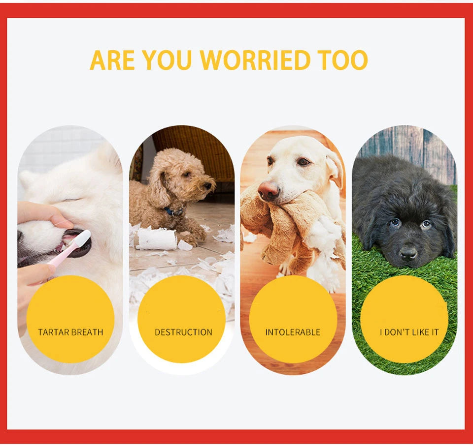 DualPet Dog Chew Toys Rubber Strawberry Shaped Food Leaking Toy Durable Eco-friendly Food Dispenser Dogs Toy